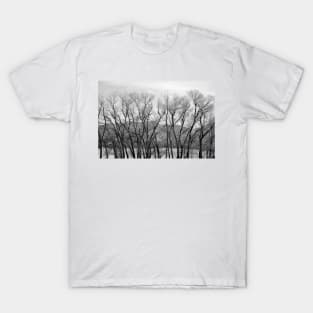 Timbered Blockade T-Shirt